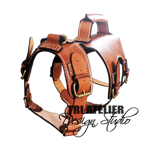 DIY leather dog harness - For medium size dog - Leather pattern - PDF Download