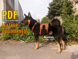 Dog Harness Pattern -PDF Pattern Leather Template DIY - Pdf Download